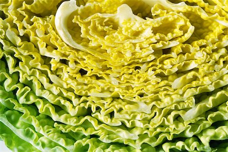 Savoy cabbage, extreme close-up, full frame Stock Photo - Premium Royalty-Free, Code: 696-03395336