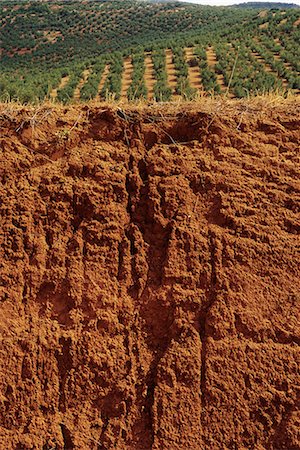 red soil - Eroded cliff, hillside in background Stock Photo - Premium Royalty-Free, Code: 696-03395481