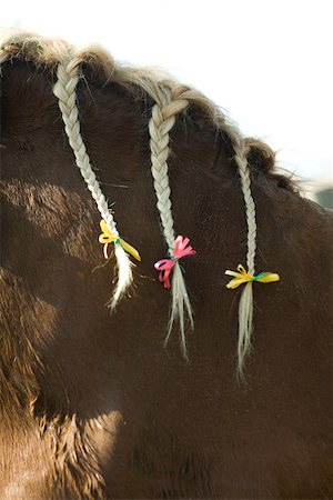 simsearch:696-03395624,k - Horse with braided mane and ribbons, cropped view Fotografie stock - Premium Royalty-Free, Codice: 696-03395625