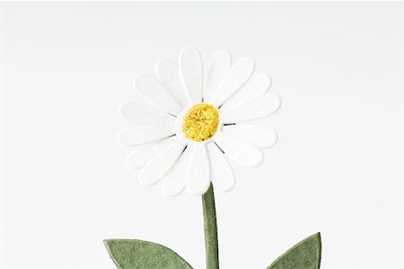 daisy on white - Craft daisy, close-up Stock Photo - Premium Royalty-Free, Code: 696-03396094