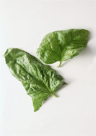 simsearch:696-03396120,k - Spinach leaves Stock Photo - Premium Royalty-Free, Code: 696-03396115