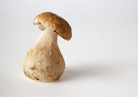 simsearch:614-06624594,k - Fresh cep mushroom, close-up Stock Photo - Premium Royalty-Free, Code: 696-03396137