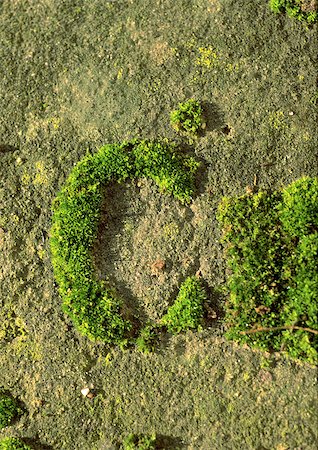 C, text, in moss Stock Photo - Premium Royalty-Free, Code: 696-03396592