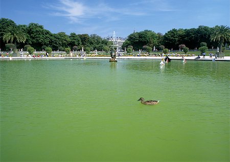 Duck in fountain in park Foto de stock - Sin royalties Premium, Código: 696-03396905