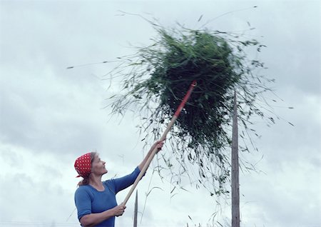 Finland, woman forking ball of vegetation onto pole Stock Photo - Premium Royalty-Free, Code: 696-03397184