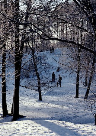 simsearch:696-03397248,k - Sweden, people walking in snowy woods Stock Photo - Premium Royalty-Free, Code: 696-03397275