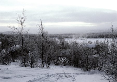 simsearch:696-03397248,k - Sweden, snowy landscape Stock Photo - Premium Royalty-Free, Code: 696-03397295