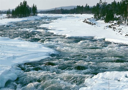 panoramic winter tree landscape - Sweden, river running through snowy banks Stock Photo - Premium Royalty-Free, Code: 696-03397306