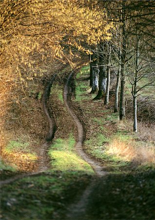 picardie - Sentier à travers bois en automne. Photographie de stock - Premium Libres de Droits, Code: 696-03397479