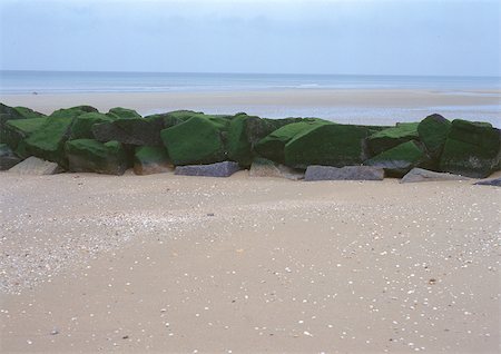 simsearch:696-03397618,k - Algae covered rocks on beach Foto de stock - Sin royalties Premium, Código: 696-03397579