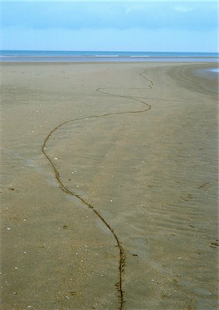 France, Normandy, track in sand at beach at low tide Foto de stock - Royalty Free Premium, Número: 696-03397618