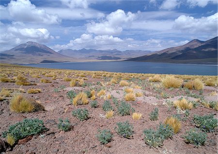 simsearch:832-03724477,k - Chile, El Norte Grande, arid landscape with mountains and small lake Stock Photo - Premium Royalty-Free, Code: 696-03397997