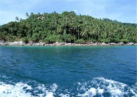 panorama jungle - Malaysia, palm tree covered island Stock Photo - Premium Royalty-Free, Code: 696-03398031