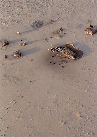 farm scene and africa - Tunisia, Sahara Desert, cattle herded around farm building, aerial view Foto de stock - Sin royalties Premium, Código: 696-03398073