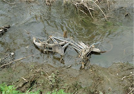 poluição da água - Rusty bicycle abandoned in stream Foto de stock - Royalty Free Premium, Número: 696-03398500