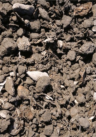 Saleté et roches avec des morceaux de déchets Photographie de stock - Premium Libres de Droits, Code: 696-03398527