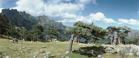 Paysage de France, Corse, montagnes, vue panoramique Photographie de stock - Premium Libres de Droits, Code: 696-03398726