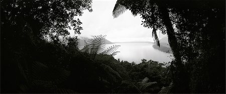 New Zealand, sea viewed through gap in vegetation, panoramic view Foto de stock - Sin royalties Premium, Código: 696-03398727