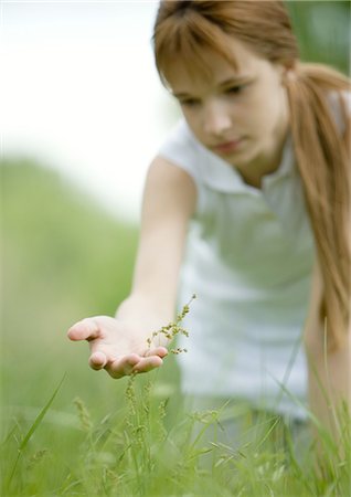 Girl looking at plant Stock Photo - Premium Royalty-Free, Code: 696-03400343