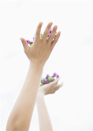 purple sensation - Woman's hands holding up flowers Stock Photo - Premium Royalty-Free, Code: 696-03400369