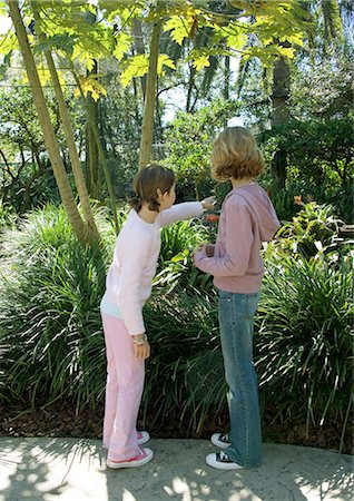 Two girls looking at birds in wildlife park Stock Photo - Premium Royalty-Free, Code: 696-03400911