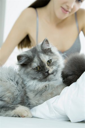 simsearch:696-03401357,k - Woman sitting on bed with cat, focus on cat in foreground Stock Photo - Premium Royalty-Free, Code: 696-03401359