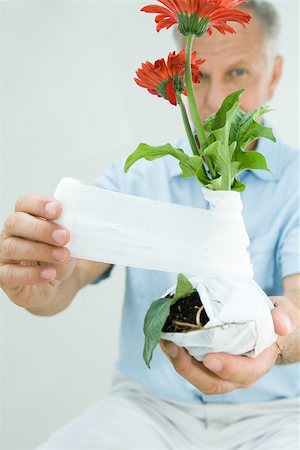 flowers roots - Man bandaging flowers with gauze, close-up Stock Photo - Premium Royalty-Free, Code: 696-03402086