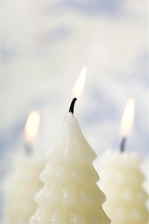 simsearch:700-01538773,k - White Christmas tree shaped candles burning Stock Photo - Premium Royalty-Free, Code: 696-03402849