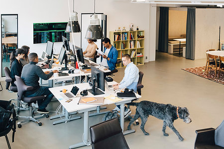 Dog At Desk With Man Stock Photos Page 1 Masterfile