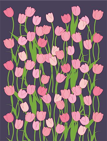 roses background - Illustration Stock Photo - Premium Royalty-Free, Code: 690-06190209