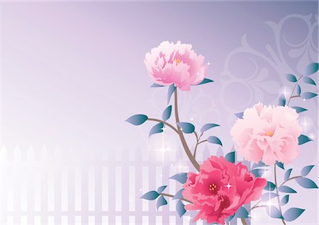 simsearch:690-03475990,k - Modèle de fleur Photographie de stock - Premium Libres de Droits, Code: 690-03475943