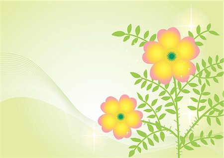 simsearch:690-03475990,k - Modèle de fleur Photographie de stock - Premium Libres de Droits, Code: 690-03475981