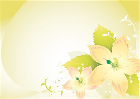 simsearch:690-03475990,k - Modèle de fleur Photographie de stock - Premium Libres de Droits, Code: 690-03476003