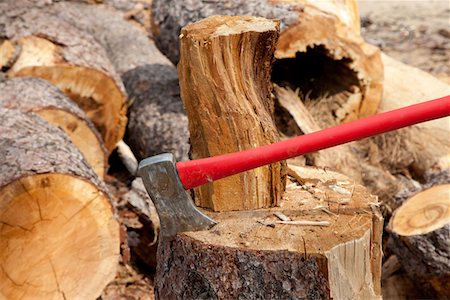 An axe wedged into a tree stump Foto de stock - Sin royalties Premium, Código: 693-05794377