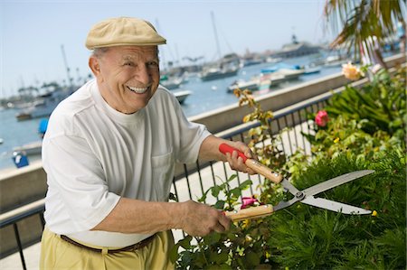 Senior man clipping hedge Foto de stock - Sin royalties Premium, Código: 693-06014341