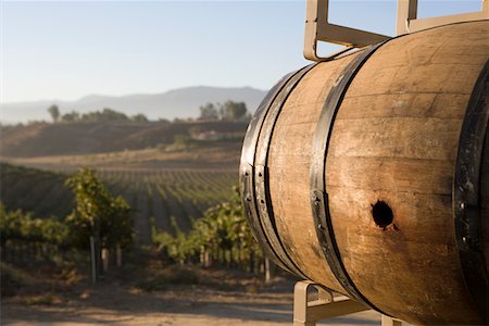 Wine barrel in vineyard Stock Photo - Premium Royalty-Free, Code: 693-06014763