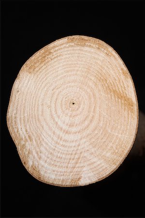 Coupe transversale de tronc d'arbre Photographie de stock - Premium Libres de Droits, Code: 693-06018959