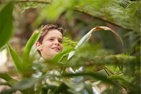 exam and boy - Boy Looking at Plants Foto de stock - Sin royalties Premium, Código: 693-06019110