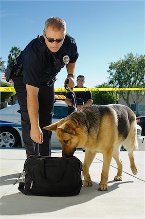 poliziotto (uomo) - Police Dog Sniffing Bag Fotografie stock - Premium Royalty-Free, Codice: 693-06019832