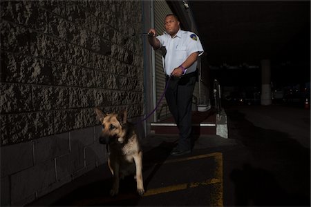 Security guard in alleyway pursuit with guard dog Foto de stock - Sin royalties Premium, Código: 693-06022143