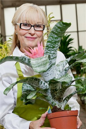 simsearch:693-03313169,k - Portrait of a happy senior woman holding pot plant Foto de stock - Sin royalties Premium, Código: 693-06120937