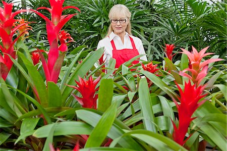 florist working - Front view of a senior woman working in botanical garden Stock Photo - Premium Royalty-Free, Code: 693-06324015