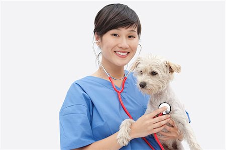 person pet portrait studio - Portrait of Asian female veterinarian examining dog over gray background Stock Photo - Premium Royalty-Free, Code: 693-06378749