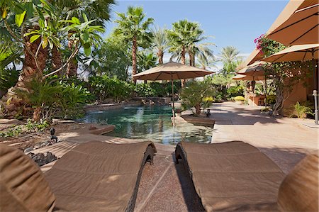 deckchair garden - Luxury Villa with water feature and sun beds Photographie de stock - Premium Libres de Droits, Code: 693-06667952