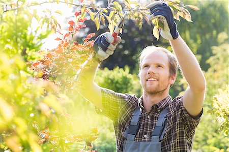 simsearch:693-07912926,k - Young man cutting branch in garden Stockbilder - Premium RF Lizenzfrei, Bildnummer: 693-07912832