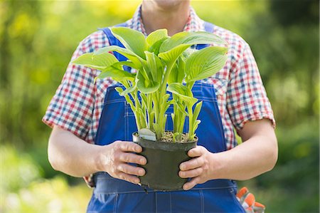 simsearch:693-07912856,k - Midsection of gardener holding potted plant at nursery Stock Photo - Premium Royalty-Free, Code: 693-07912844