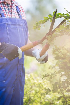 simsearch:693-07912856,k - Midsection of gardener trimming branches at plant nursery Stock Photo - Premium Royalty-Free, Code: 693-07912848
