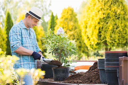 simsearch:6105-07521417,k - Man planting pot at garden Foto de stock - Royalty Free Premium, Número: 693-07912853