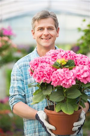 simsearch:6102-03905363,k - Portrait of happy man holding flower pot in greenhouse Stock Photo - Premium Royalty-Free, Code: 693-07912866