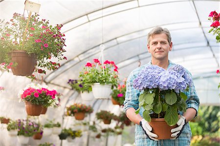 simsearch:693-07912855,k - Portrait of confident gardener holding flower pot in greenhouse Stock Photo - Premium Royalty-Free, Code: 693-07912867